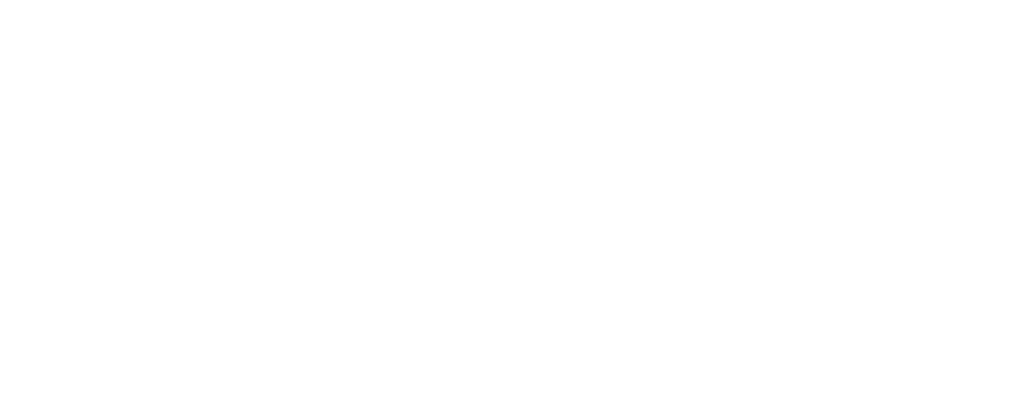 MetaVox International